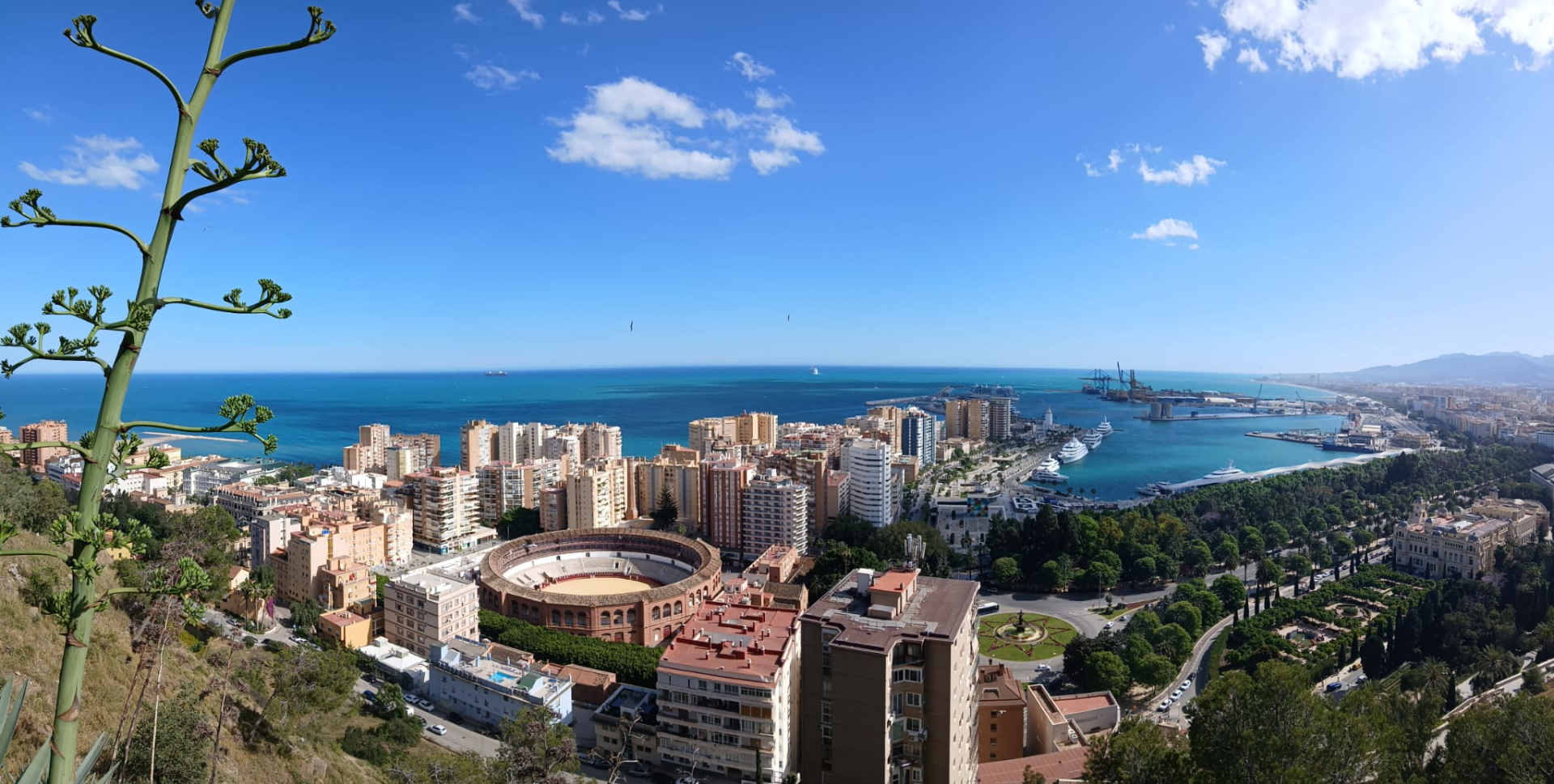 Málaga (5).jpg